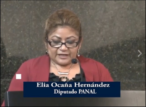 Elia Ocaña Hernández Dip del PANAL
