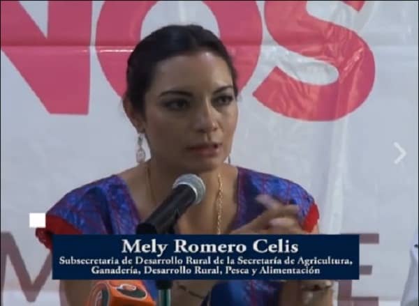 Mely Romero Celis Subsecretaria de Desarrollo Rural