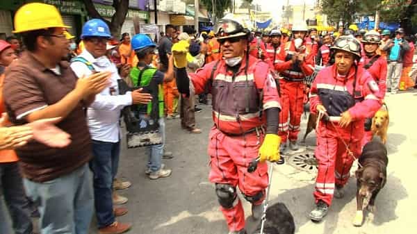 rescatistas campechanos